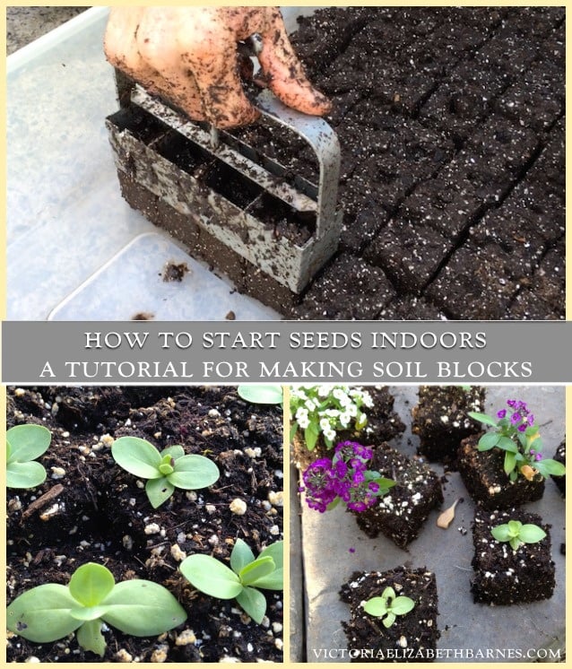 How to start seeds indoors, a video tutorial for making soil blocks. I’ve tried EVERY method, this is the BEST.