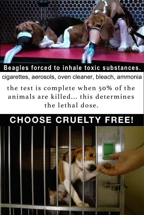 Did you know that EVERY country in the European Union OUTLAWS cosmetic testing on animals as cruel and unnecessary? BUT animals in US laboratories continue to be used for outdated experiments AND are exempt from animal cruelty laws! GO CRUELTY FREE!!! 