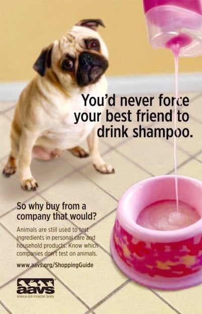 dog drink shampoo