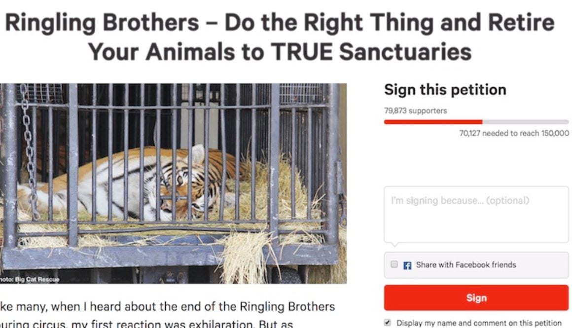 Send the Ringling animals to sanctuary 8