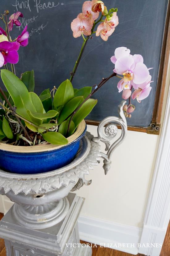 Antique garden urns add so much charm to your decor! Come tour our Victorian house… the BEST part is the decorating! I LOVE salvaged and repurposed antiques and there are so many uses for this old, cast iron, Victorian planter! 