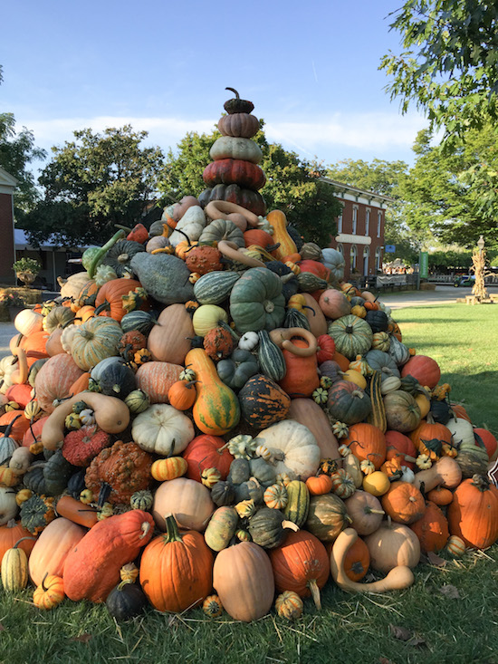 country living fair columbus ohio 2017 Victoria Elizabeth Barnes