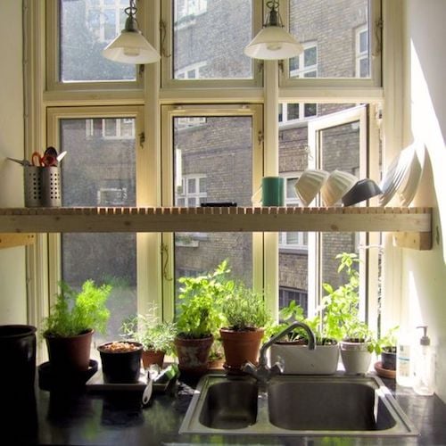 Kitchen design: get the dish rack off the counter. SO many ideas for hiding the dish drainer!